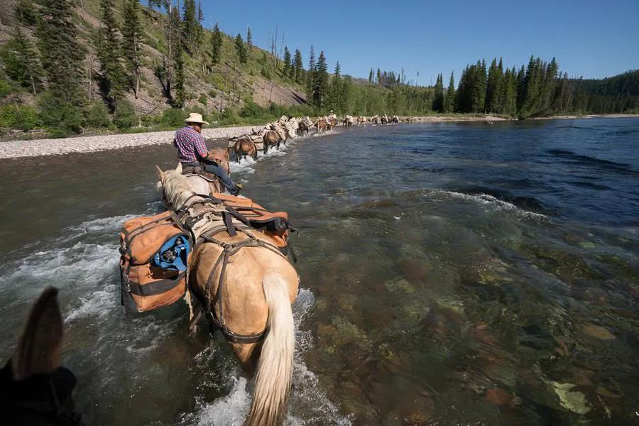 A fly fishing trip into the wilderness on horseback is one of the most unique all-inclusive trips available to anglers in the West. The Bob Marshall Wilderness is a spectacular place to go fishing and the only place in Montana to legally pursue bull trout.