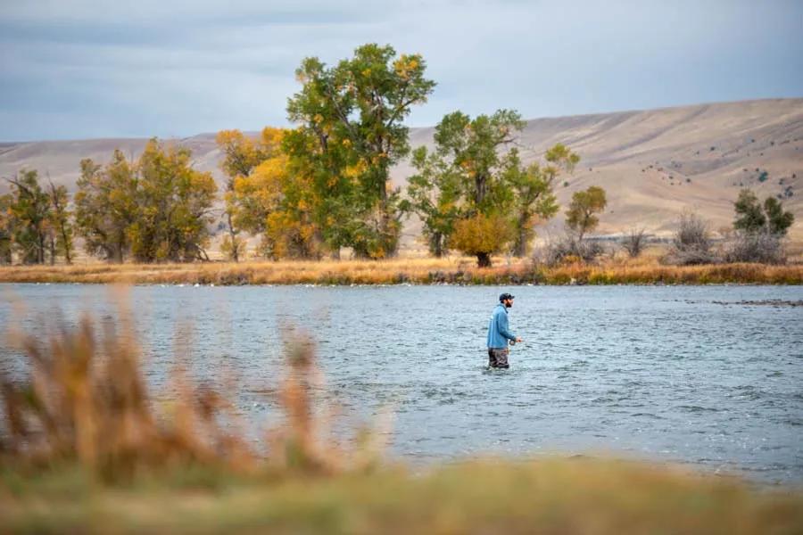 The Madison River below Ennis Lake Dam is locally referred to as the "Lower Madison." This section shines early in the spring season and again late in the fall season. Because of the dam, water temperatures can get too warm and cause trout to become lethargic in their feeding habits during most of the summer. 