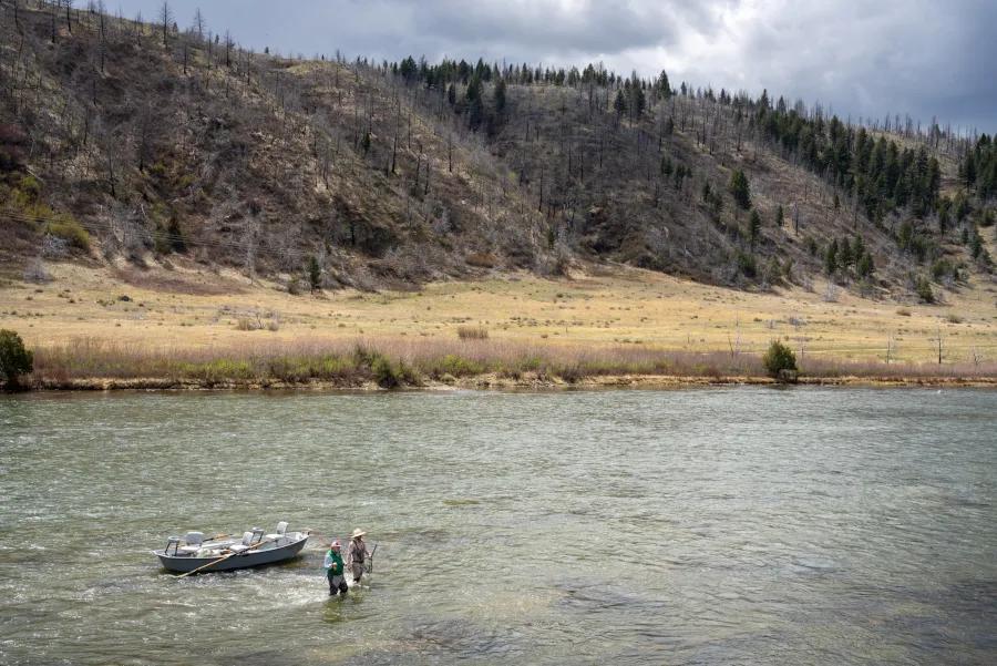 Spring fly fishing on the Madison River in Montana is best defined by hatches of Blue Winged Olives, Mother's Day caddis, early season stoneflies, and midges. The Madison River downstream from Quake Lake and all the way to where it makes the Missouri River near Three Forks is a reliable spring fishery. 