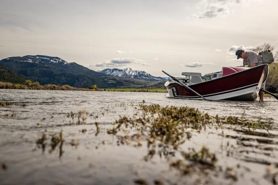 The Yellowstone River has perhaps the most diversity of insect hatches of any river in Montana. The famous Mother's Day caddis hatch is known throughout the region, but the Yellowstone River is also home to a variety of stonefly and mayfly species providing ample opportunities for great fly fishing.