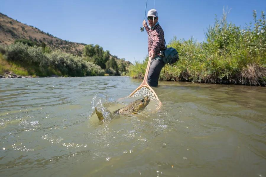 Using a net while fly fishing can help catch a lot more fish
