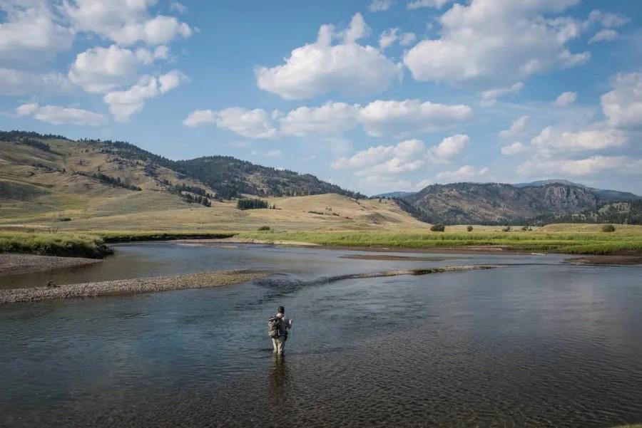 High summer in Yellowstone National Park--typically late July and August--means the terrestrial fishing on the waters in the northeast corner of Yellowstone National Park should be on the menu.