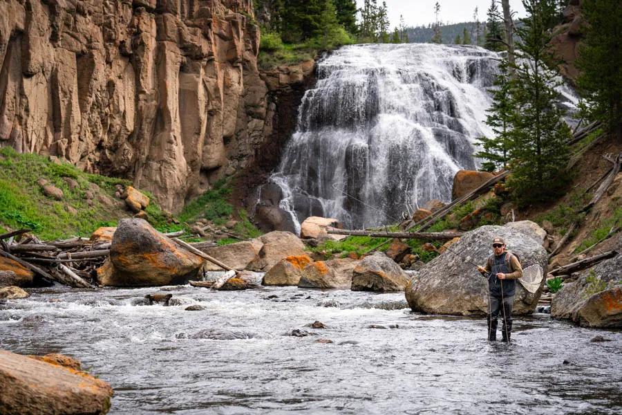 Yellowstone National Park in June means caddis, stoneflies, and fishing the waters on the west side of the Park like the Madison, Gibbon, and Firehole.