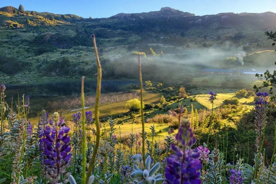 Early morning at Magic Waters Lodge with lupine flowers in bloom