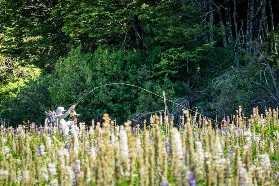 Our visit was during the peak of summer in Patagonia. Wildflowers were in full bloom and the sunshine was marvelous while many of my friends back home were shoveling snow. 
