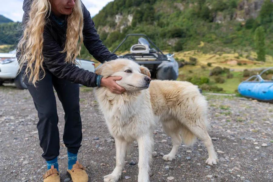 One of my favorite parts about a trip to Magic Waters Lodge is just being able to slow down the pace of life. Even after fishing full days, there is still time to enjoy the lodge camaraderie, including playing with the dog. 