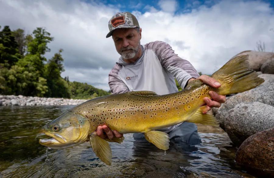 big cruising brown trout