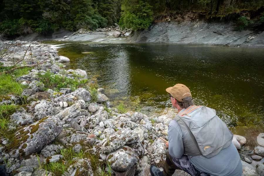 Sight fishing to big brown trout in Kaharangi National Park