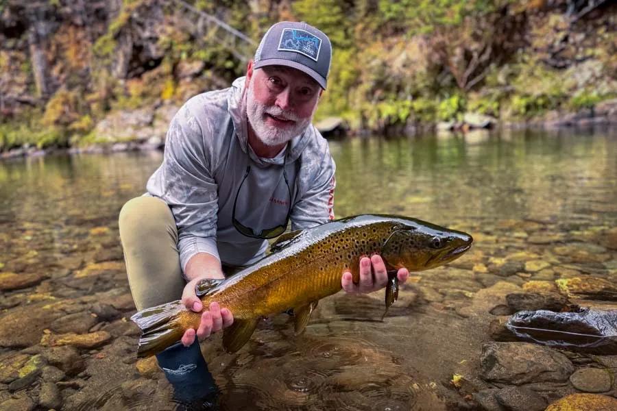Brown Trout by guest Perry Piccard