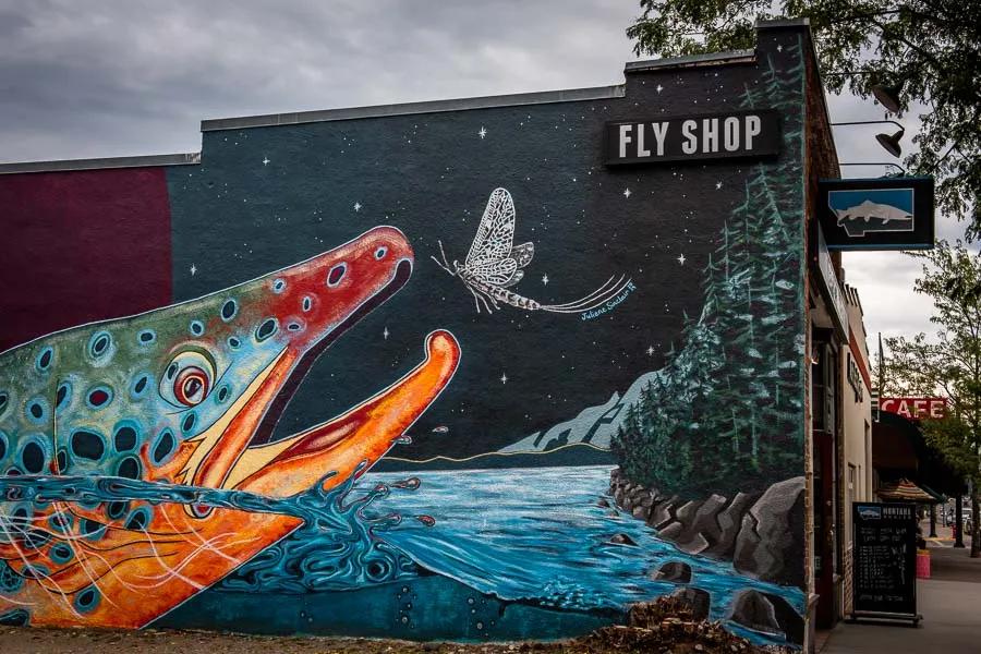  Your local fly shop can be a very good resource for discovering winter fly fishing opportunities. When thinking about a winter fly fishing trip, spend a little time an visit your local fly shop's fishing reports page to learn where to fish.