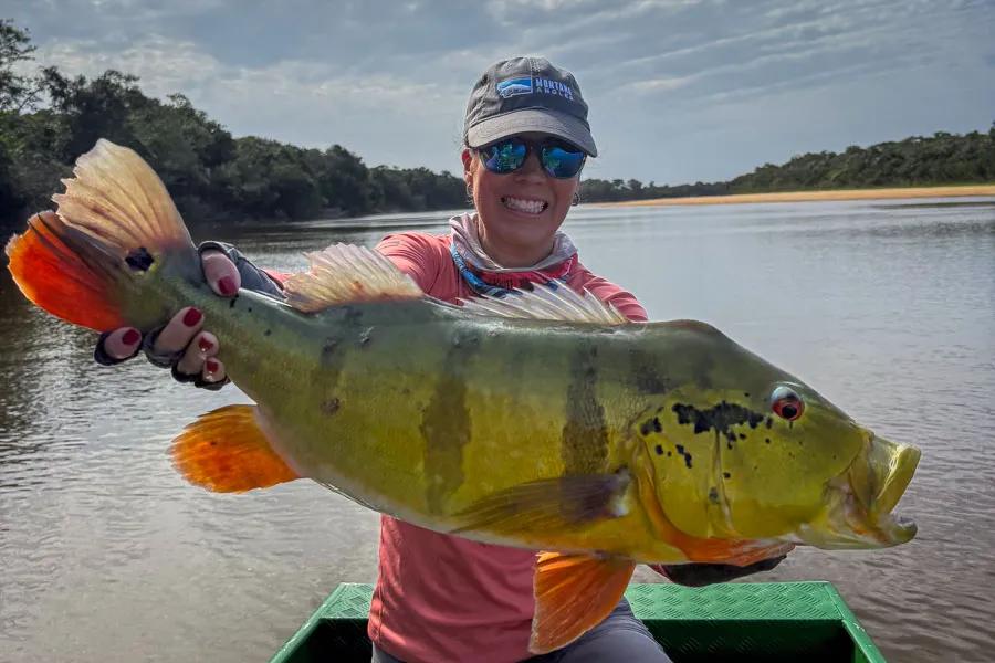 big peacock fishing in Brazil