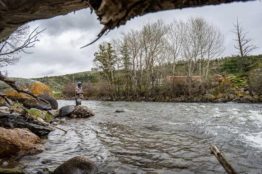 Many rivers in Montana feature hatches of skwala stoneflies. Focus on water near the banks and always be sure to check local fishing reports for exactly when and where to be. 
