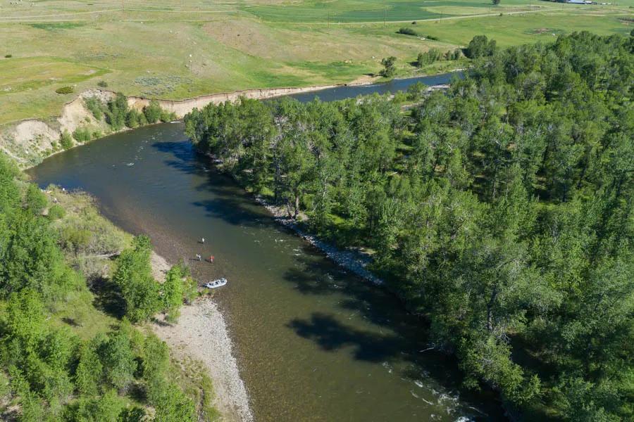 Bright sunny and windy days are often the best day for fly fishing with grasshopper patterns. But, seasonal variances and yearly changes are the biggest factors in whether anglers can expect a good crop of grasshoppers on river side vegetation.