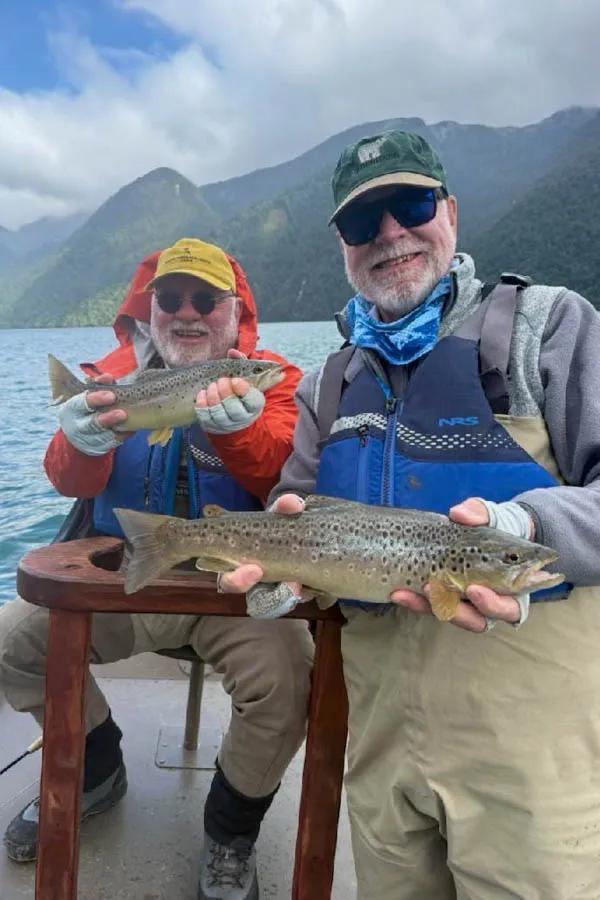 Martin Pescador Chile 