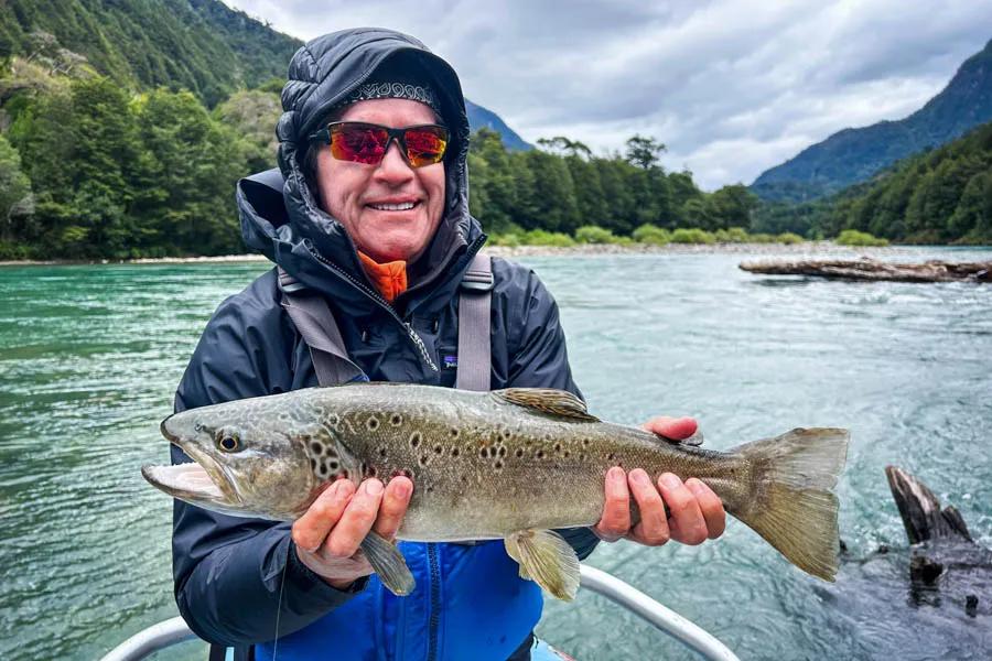 Martin Pescador Chile 