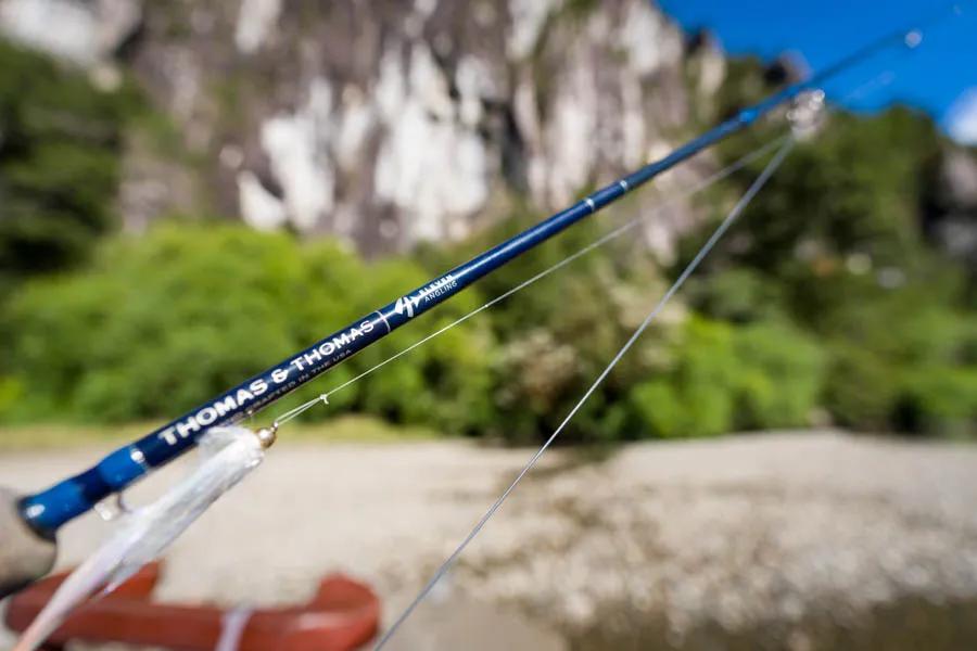 Martin Pescador Chile 