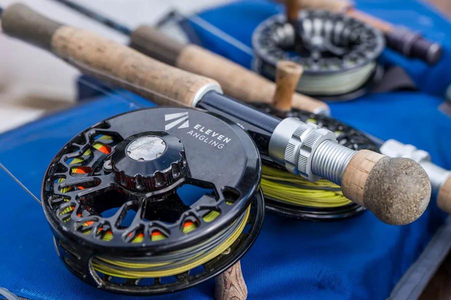 Martin Pescador Chile 