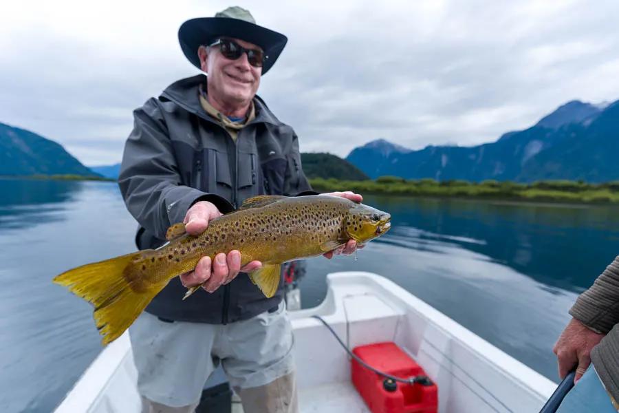 Martin Pescador Chile 