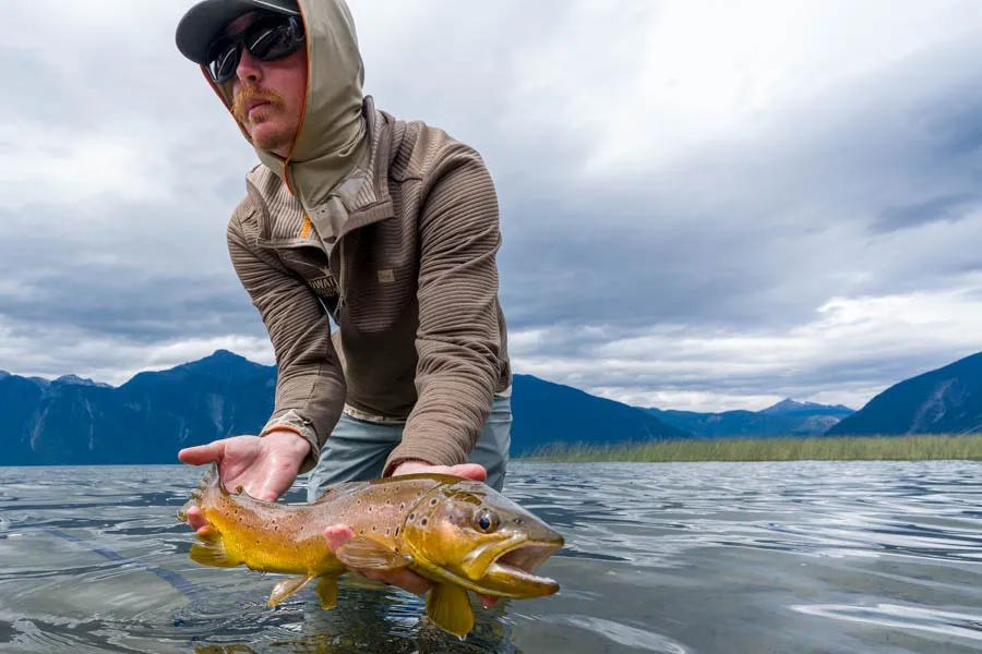 Chilean Brown Trout
