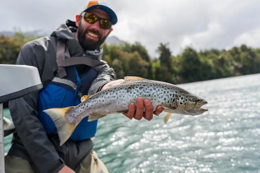 Chilean Brown Trout