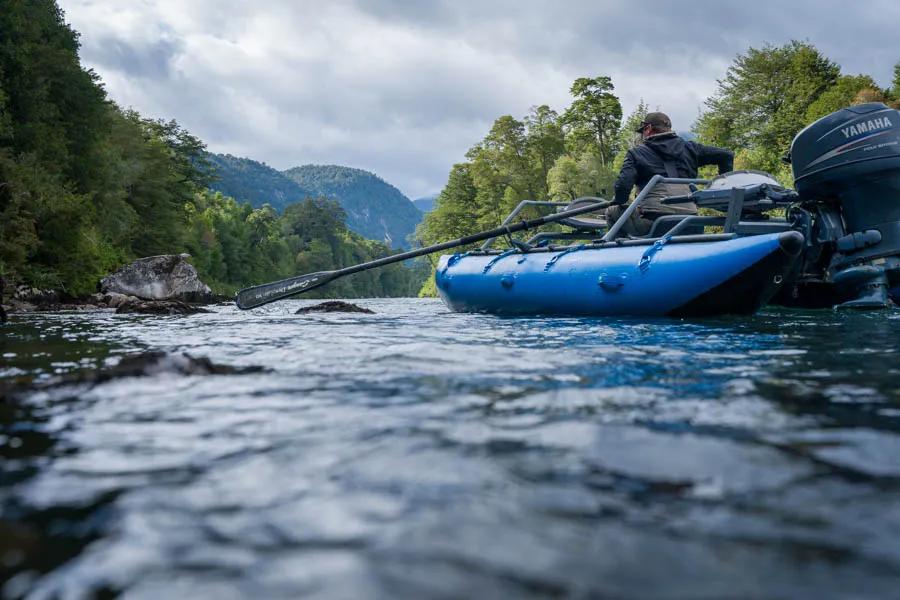 Martin Pescador Chile 