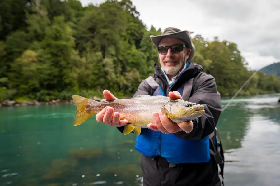 Martin Pescador Chile 