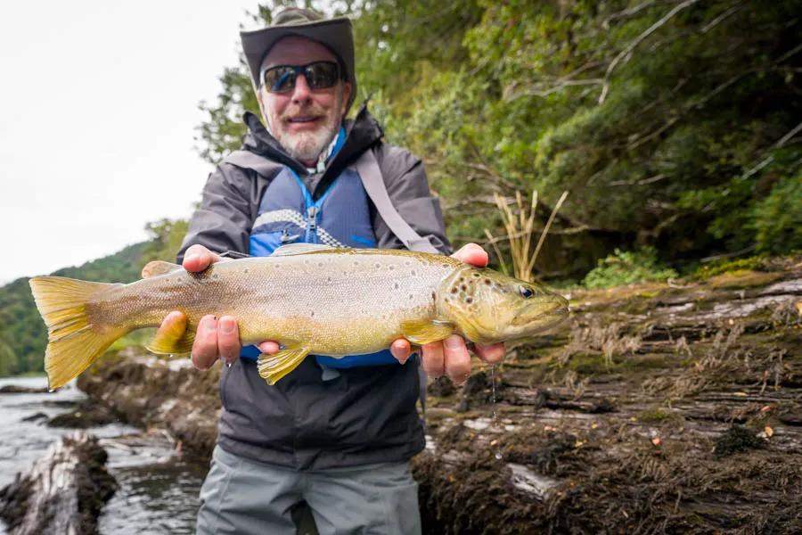 Chilean Brown Trout