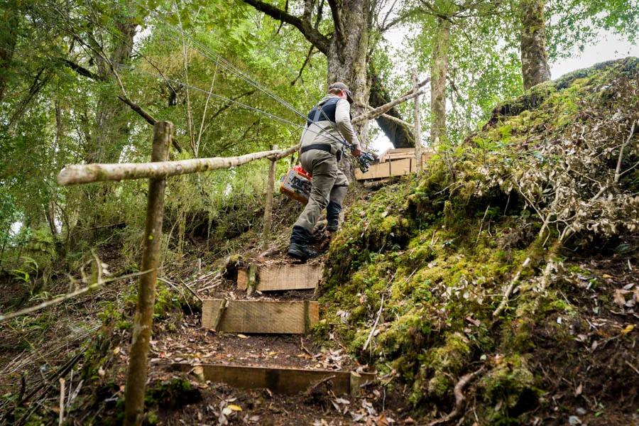 Martin Pescador Chile 