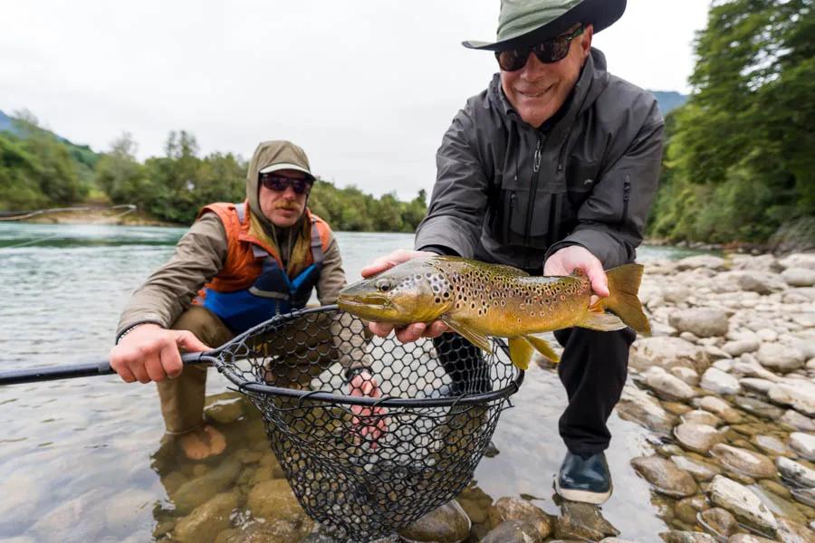 Martin Pescador Chile 