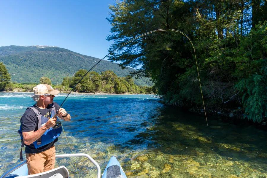 Martin Pescador Chile 