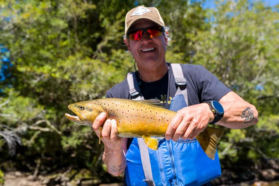 Martin Pescador Chile 