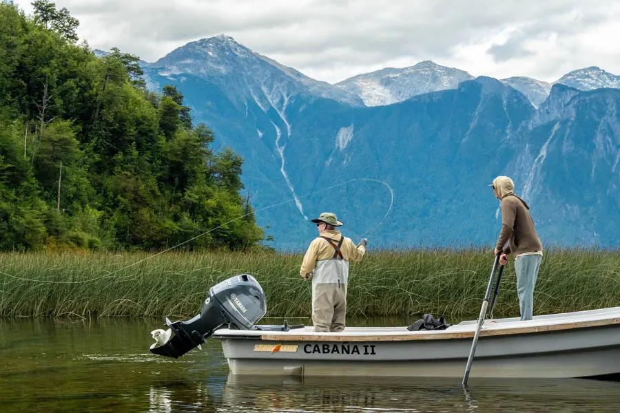 Martin Pescador Chile 