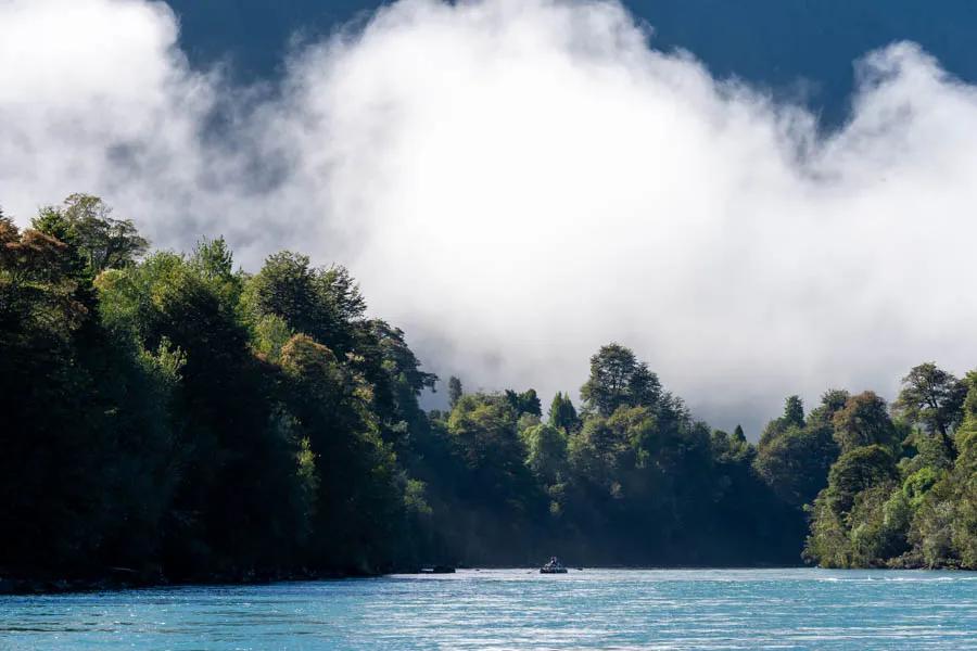 Martin Pescador Chile 