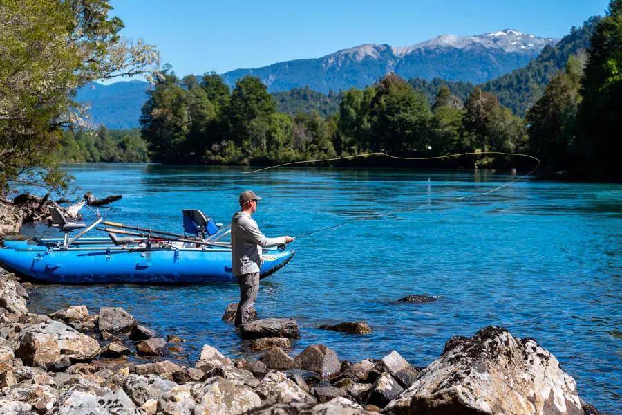 Martin Pescador Chile 