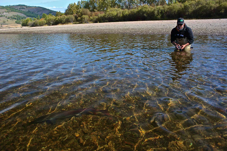 Mongolia Fly Fishing