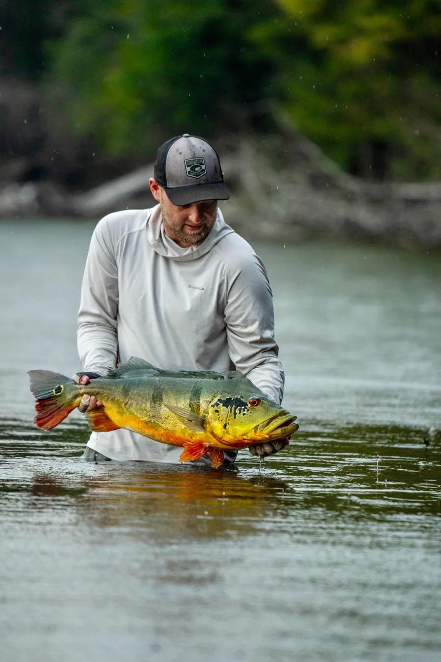 Dorado Vs. Peacock Bass