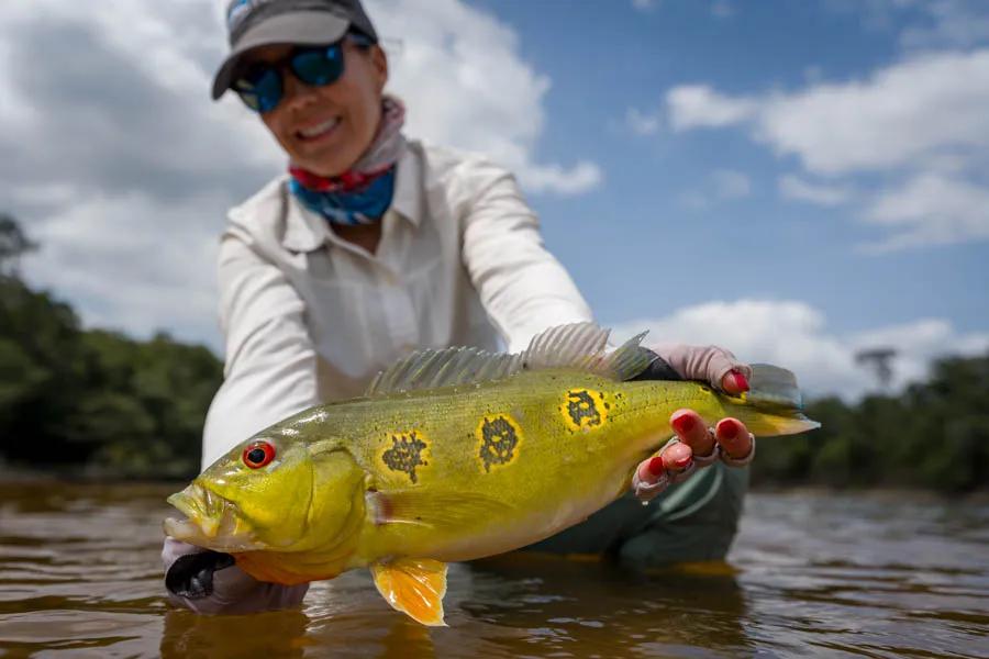 Dorado Vs. Peacock Bass