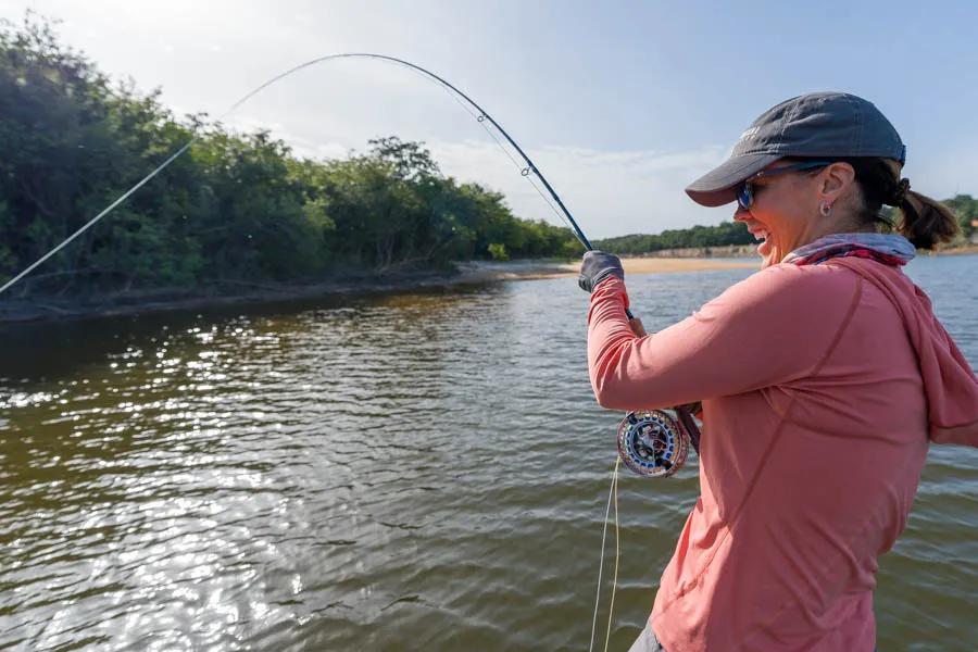 Dorado Vs. Peacock Bass