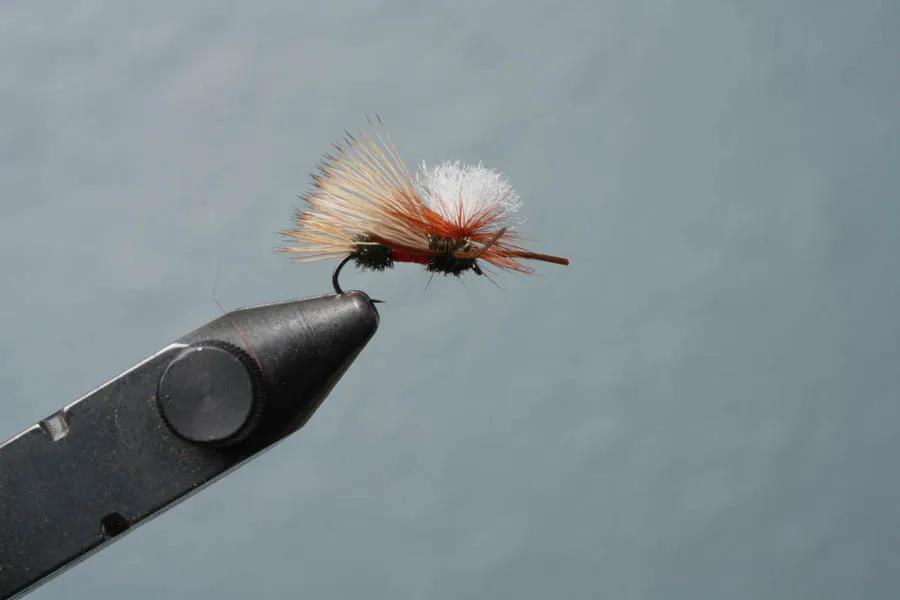 The Parachute Madame X, aka the PMX, is one of the best patterns to use when fly fishing dry flies during a skwala mayfly hatch. Tied with contrasting red yarn and peacock herl, this fly has been used for decades during the spring months when skwalas are present. 