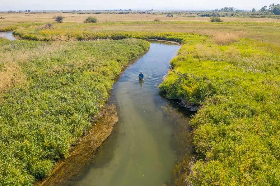 The best fly fishing in Montana with grasshoppers often occurs late in the summer. Although nearly impossible to plan for, if you can be fishing around the time ranchers and farmers cut their fields, you could be in for some of the best fly fishing on the year.