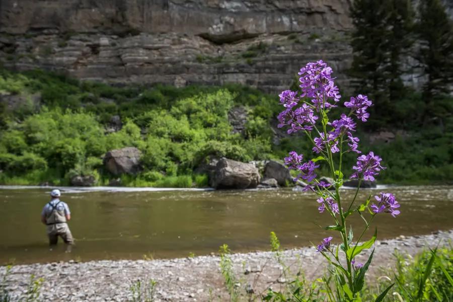Knowing where to cast your fly on the Smith River is about reading the water. 