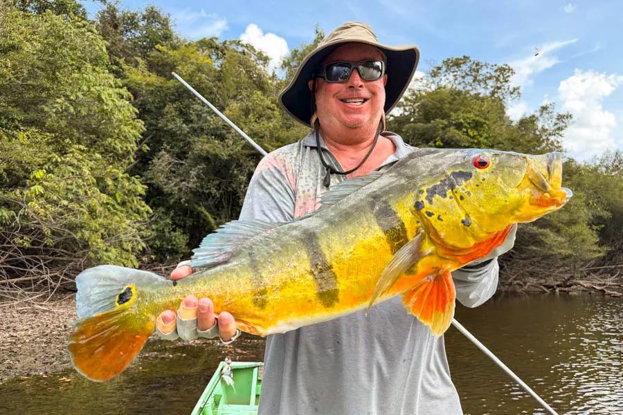 Scott, with one of many peacocks, landed in succession. It's hard to describe the excitement when these fish are on the hunt. 