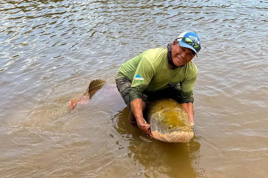 Massive arapaima caught on the fly