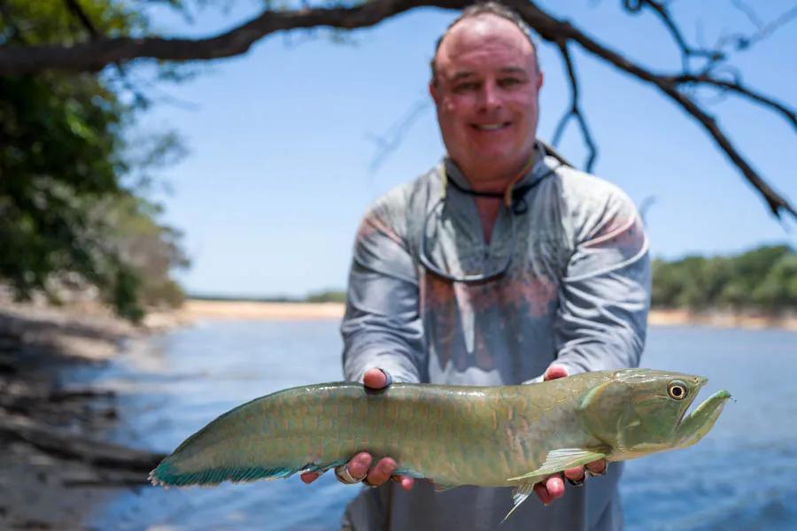 A beautifully blue tinted arowana caught on the fly on Agua Boa River