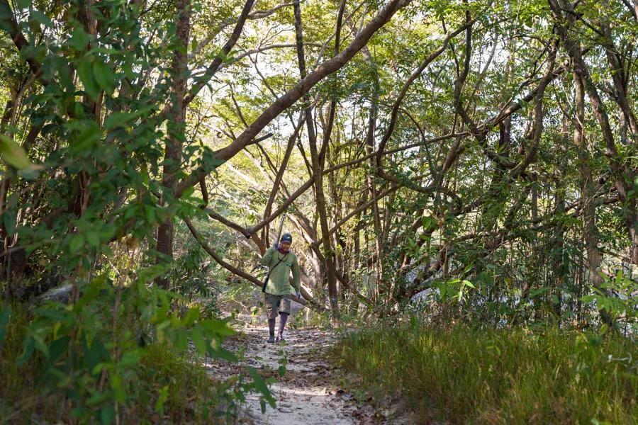 Guide walking to one of the many lagoons at Agua Boa Amazon Lodge