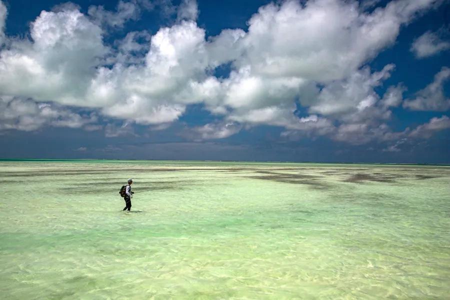 Christmas island fishing lodge wading flats