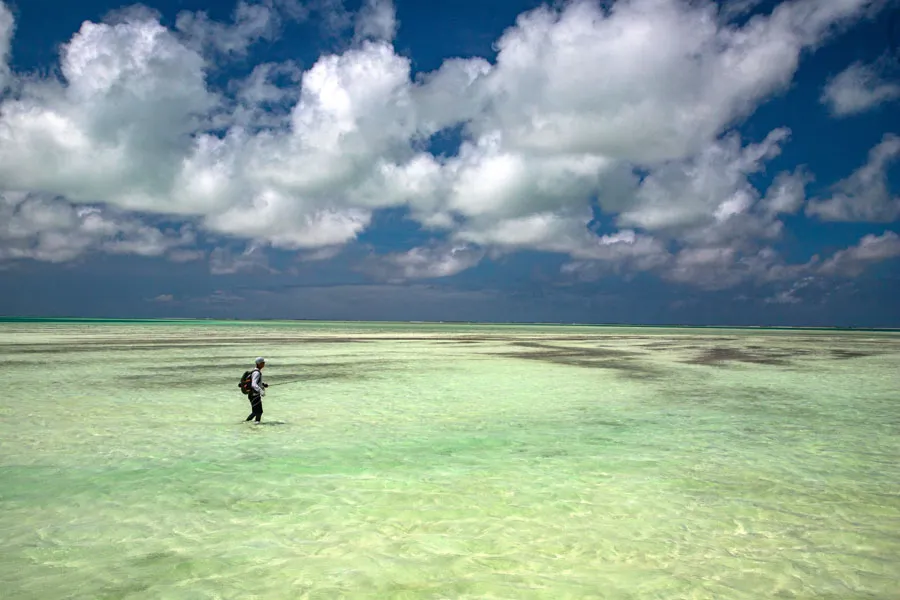 Christmas island fishing lodge wading flats