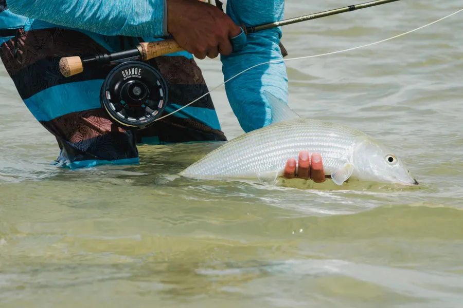 Christmas island fly fishing bonefish on flats