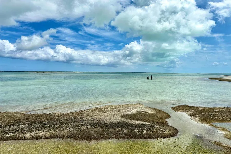 Christmas island fly fishing lodge wading 3