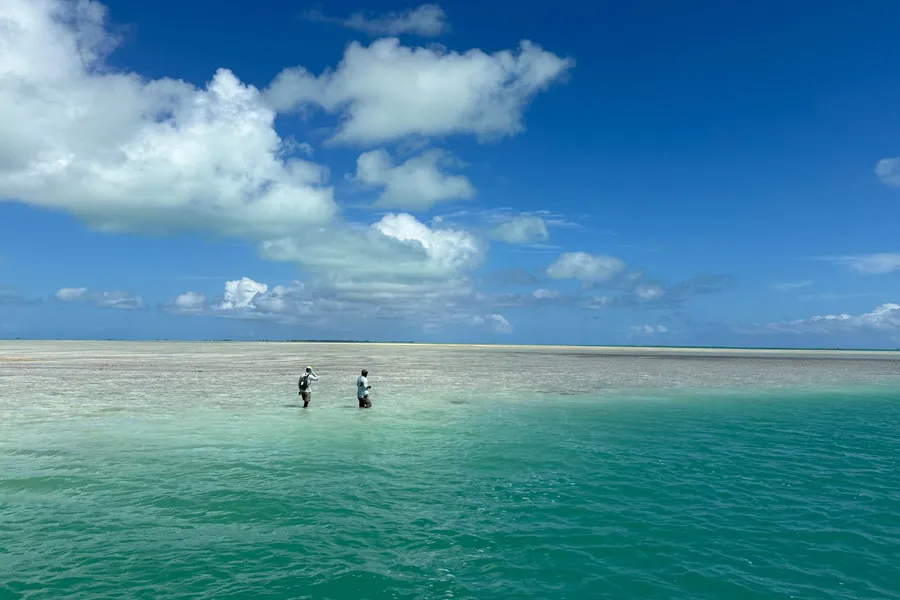 Christmas island wading